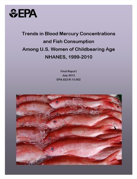 Cover of the EPA report "Trends in Blood Mercury Concentrations and Fish Consumption among U.S. Women of Childbearing Age, NHANES (1999-2010)"