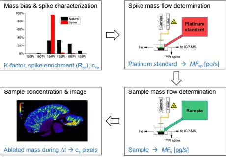 The four steps of on-line isotope dilkution analysis for LA-ICP-MS